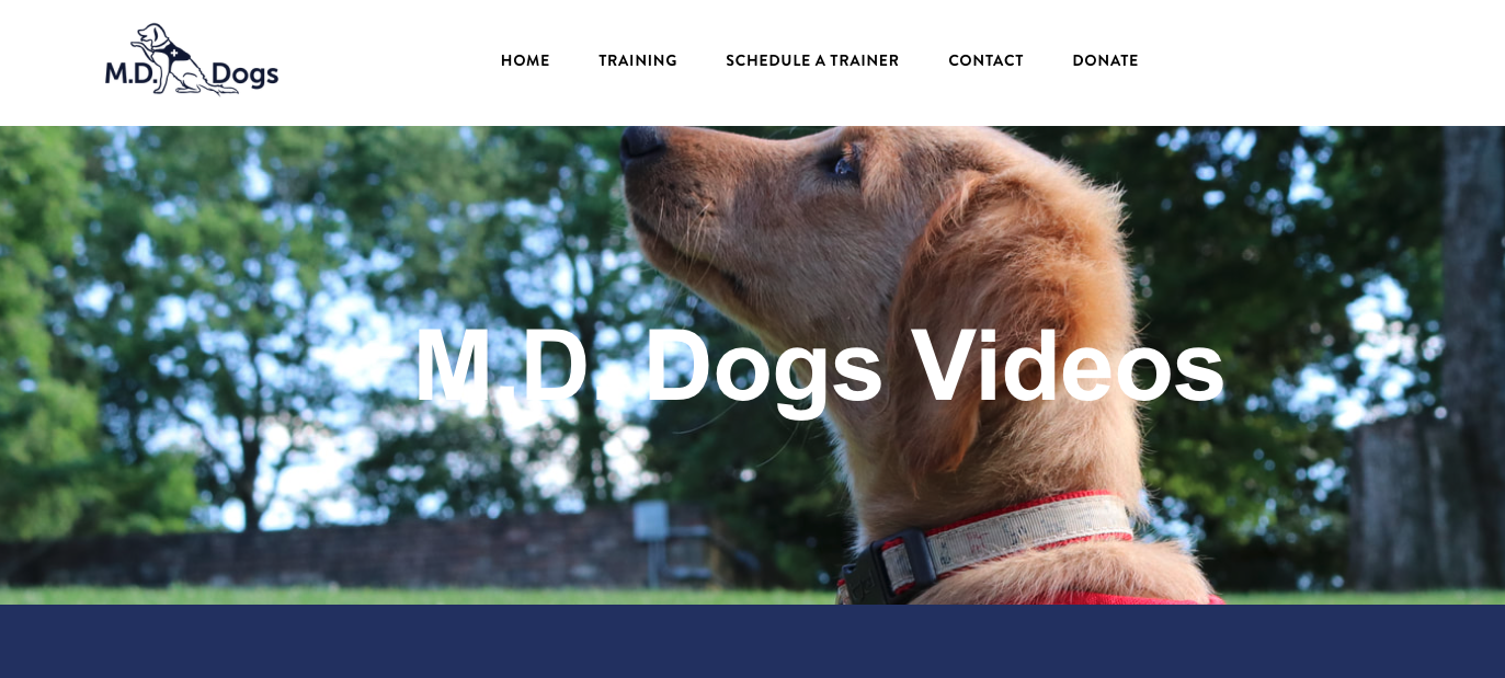 Screen Shot 2022-08-24 at 12.46.11 PM