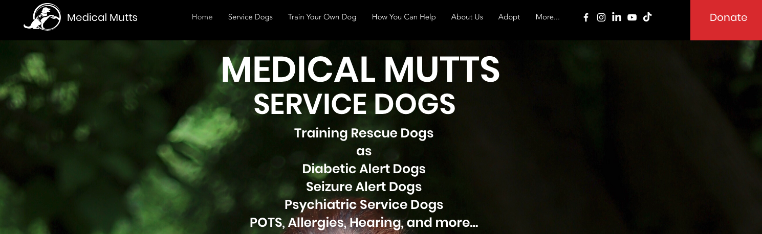 Screen Shot 2024-08-03 at 5.59.02 PM