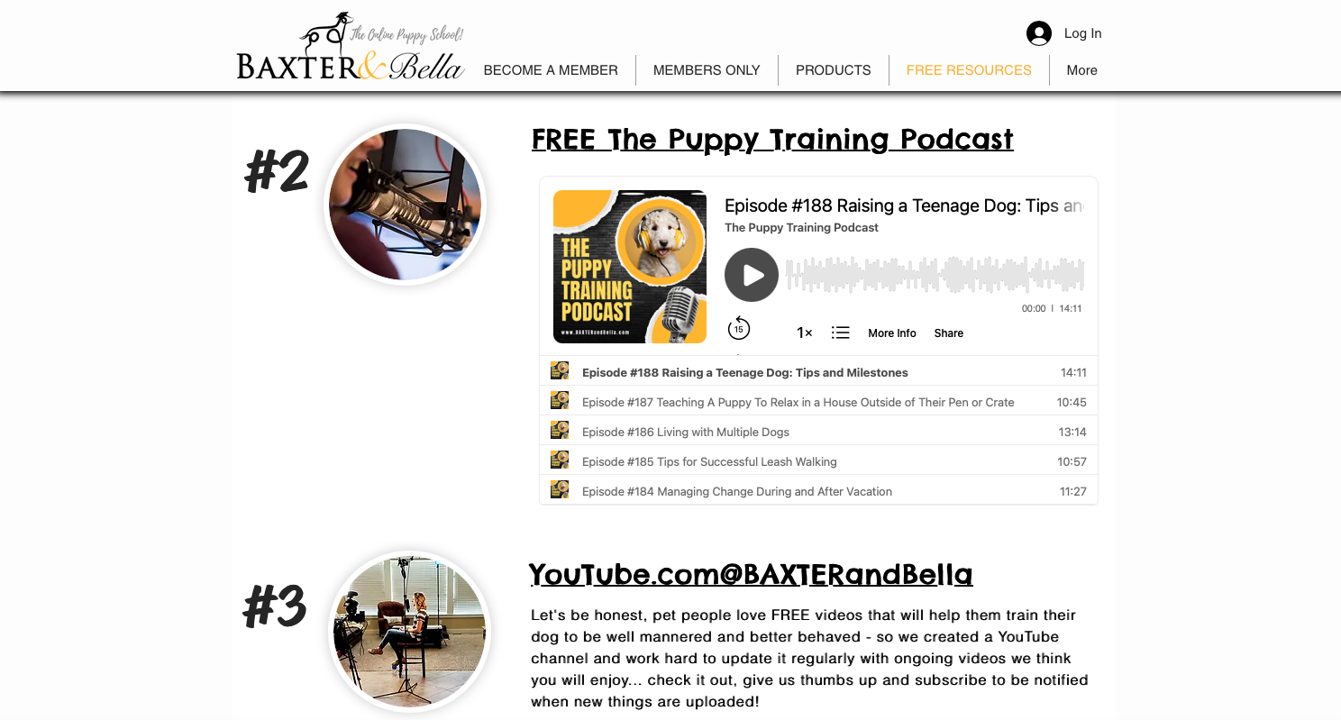 Screen Shot 2024-08-03 at 5.59.55 PM