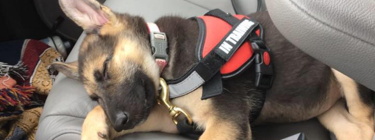 20664904_10155443080481217_237174423933464234_n