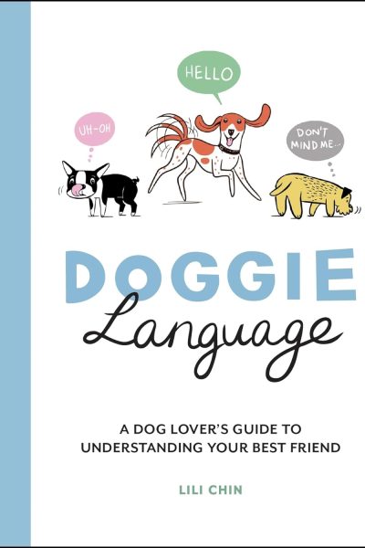 61gwStj8RkL._SL1500_