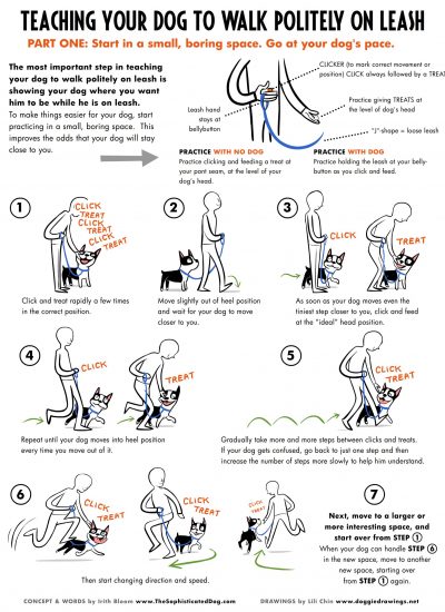 LooseLeashWalking-final_forDB