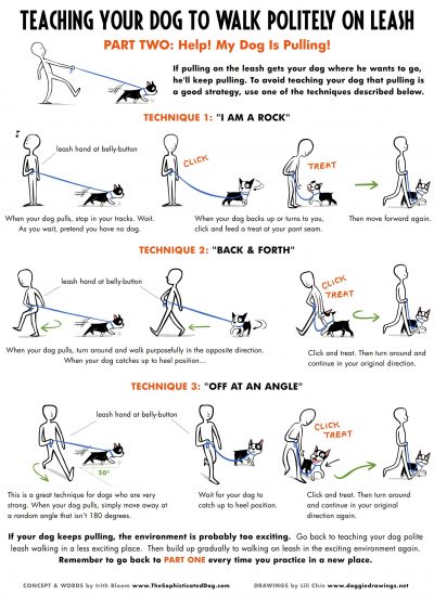 Polite Leash Walking Part 2