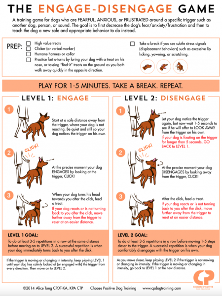 Screen Shot 2022-09-27 at 3.06.19 PM