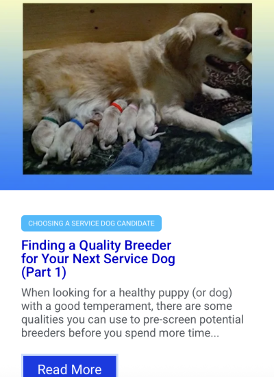 Screenshot 2026-02-18 at 1.11.57 PM