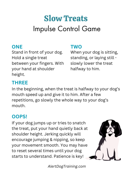 Slow Treats Impulse Control Game-2 Slow Treats Impulse Control Game-2
